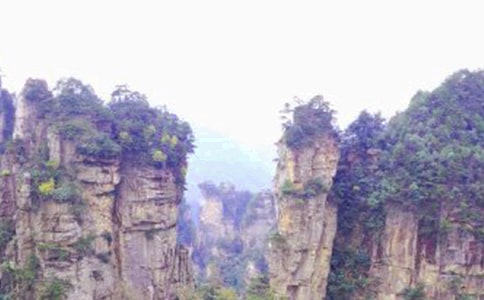 張家界四年級作文匯編7篇