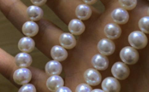 【必備】你也是一顆珍珠作文