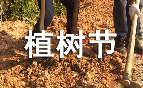 ֲ��(sh��)��(ji��)���h��13ƪ