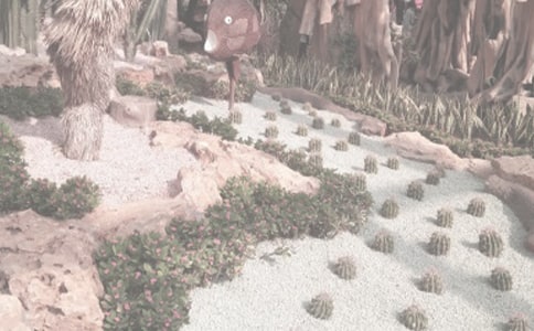 植物園春游小記作文