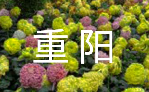 關(guān)于重陽感悟的作文