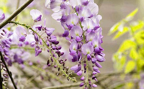 ����һ�����ٻ��_Ԋ��