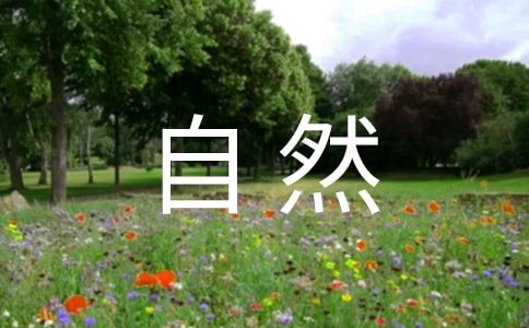 人與自然觀后感-觀后感