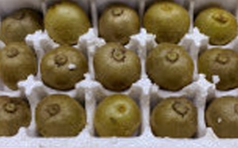 【優(yōu)秀】獼猴桃作文