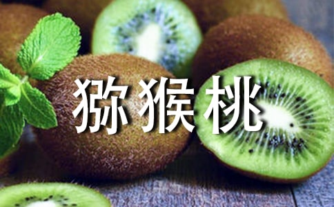 (薦)獼猴桃作文11篇