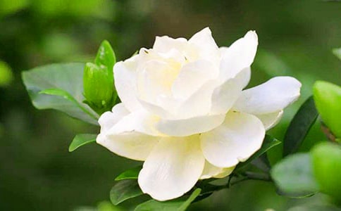 �Ҽҵėd�ӻ�����