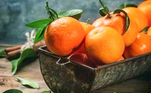 橘子的味道散文