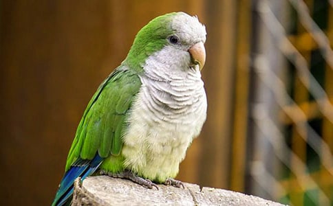 �W�^���ģ���(y��u)�x��