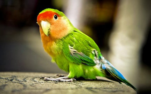 ���ϼ�����Ƥ�W�^����