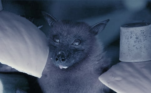 ����������_(d��)��С�W(xu��)�f�n��