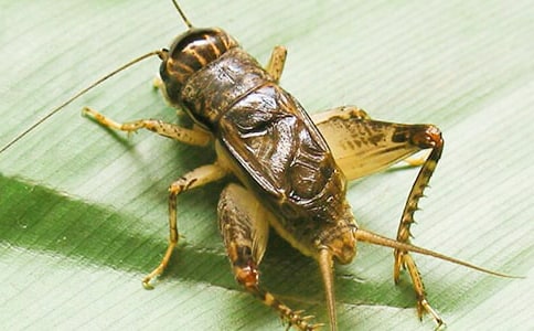 ���סլ���ķ��ģ����x25ƪ��