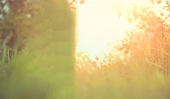 �����T��Ψ����־���Z�47�l