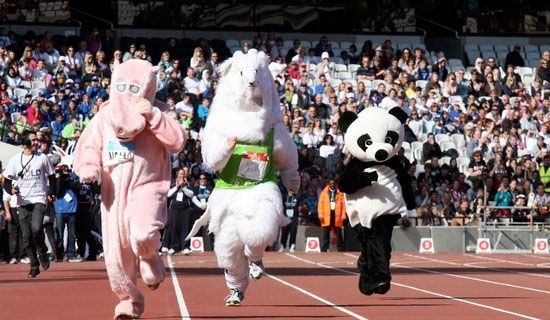 �\�ӕ��]Ļʽ�������o