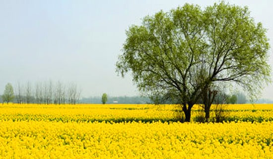 �P(gu��n)�ڴ��λ��(d��ng)���Y(ji��)